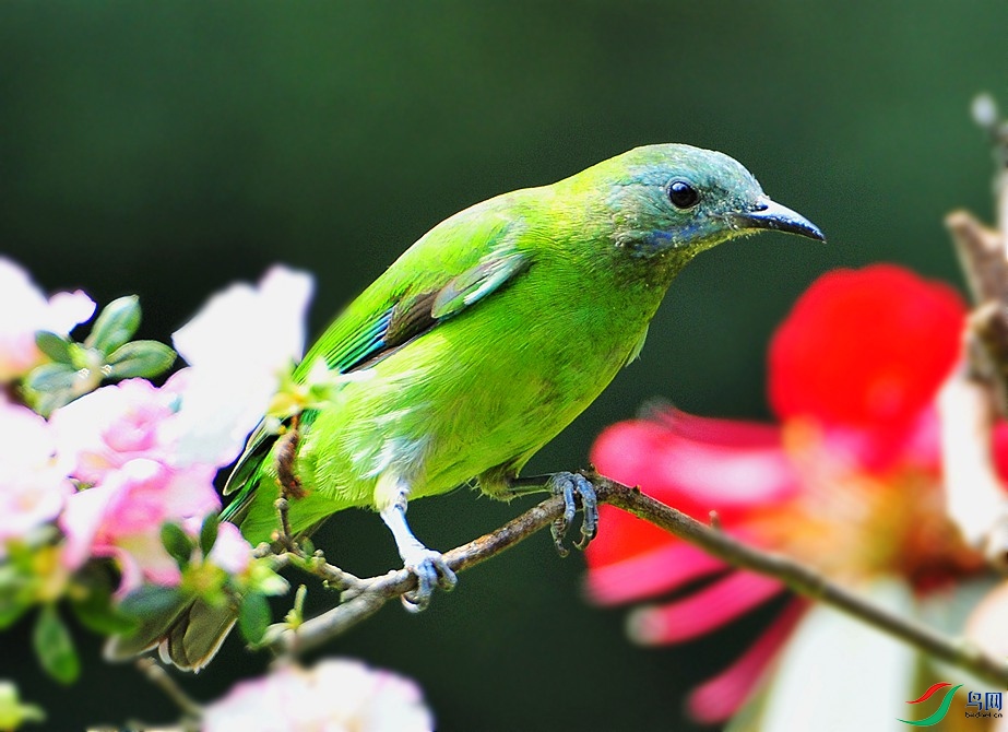 ��Ƭ 260_����.jpg