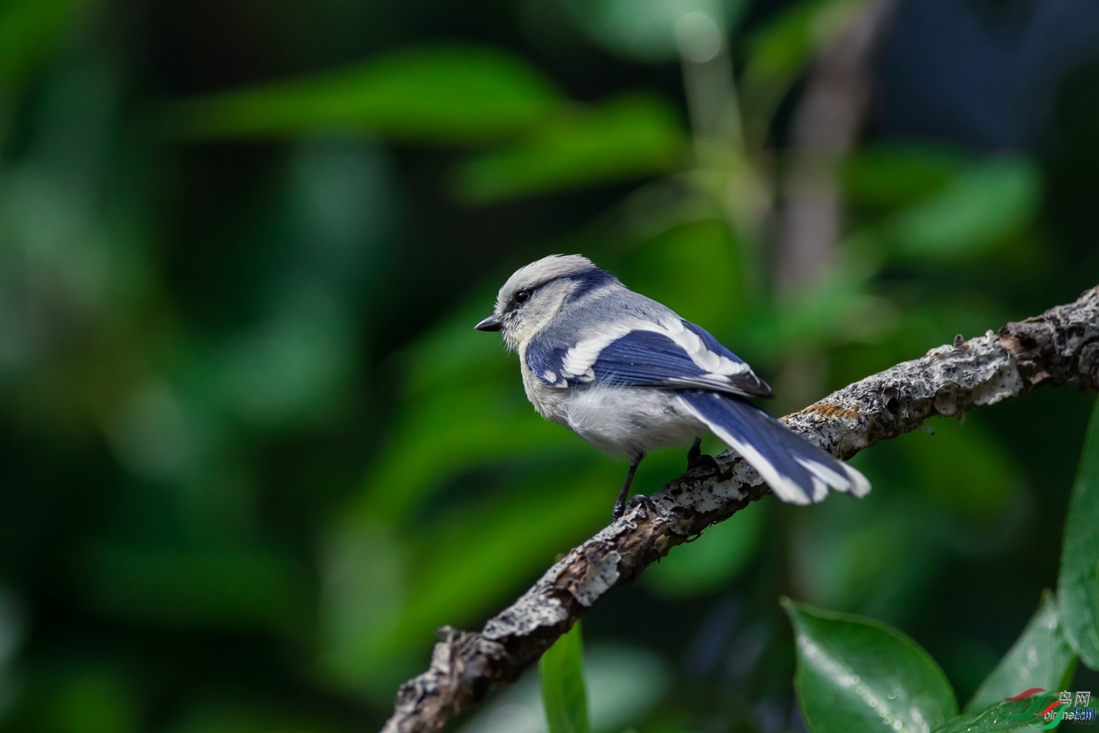 ���꽭��  ��ʦ��������.��.ά.��.��.��������.��.̩������������.jpg