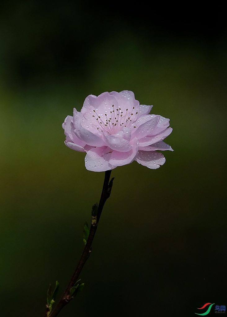DSCF3356H.jpg