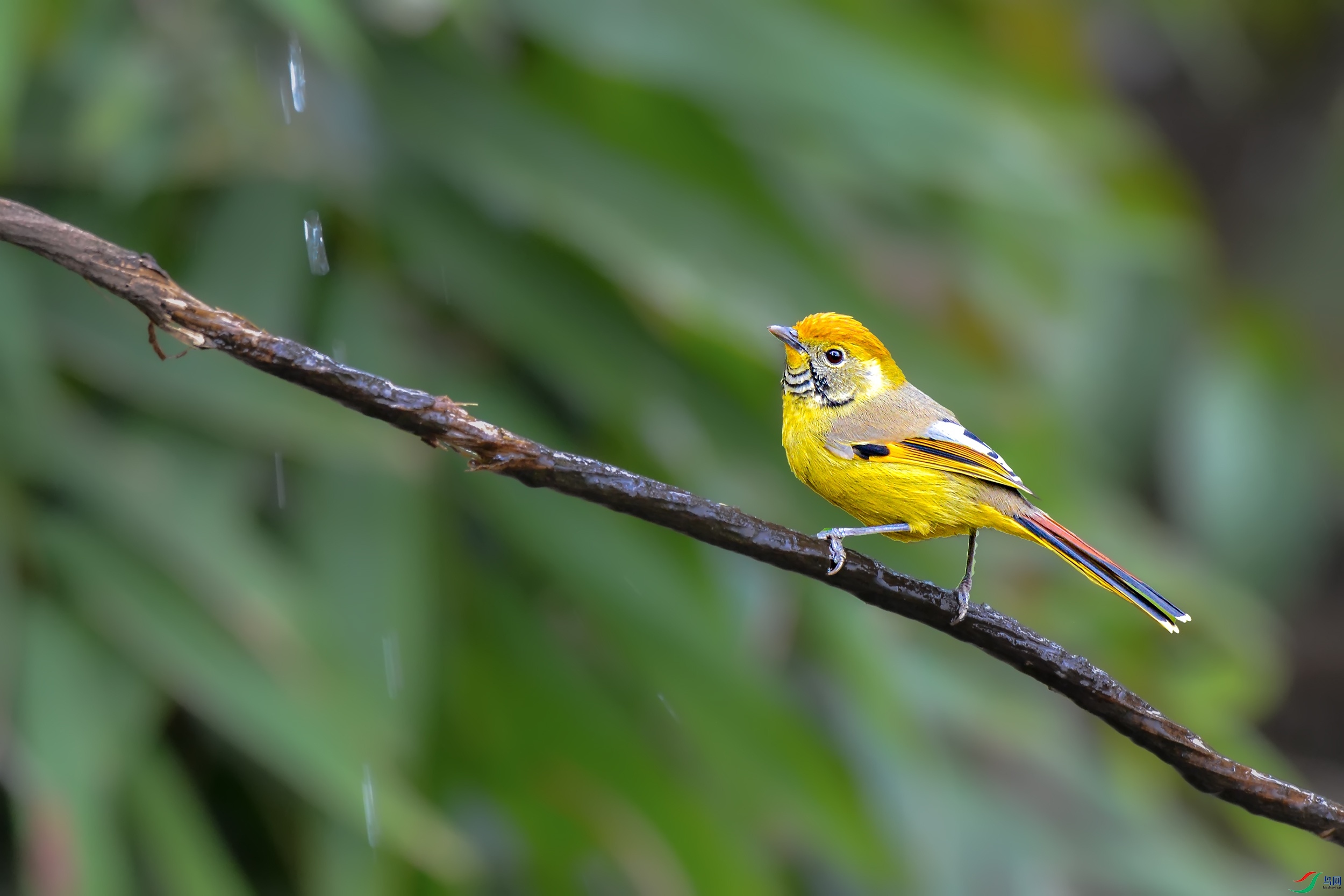 DSC_0028-1.jpg