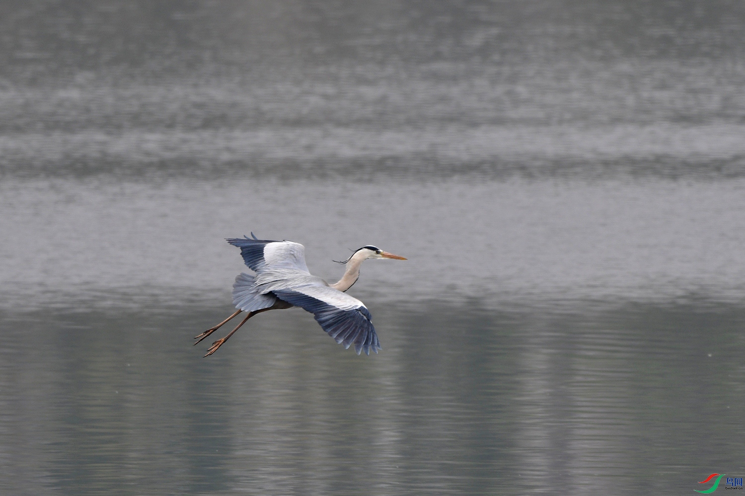 DSC_8377.jpg