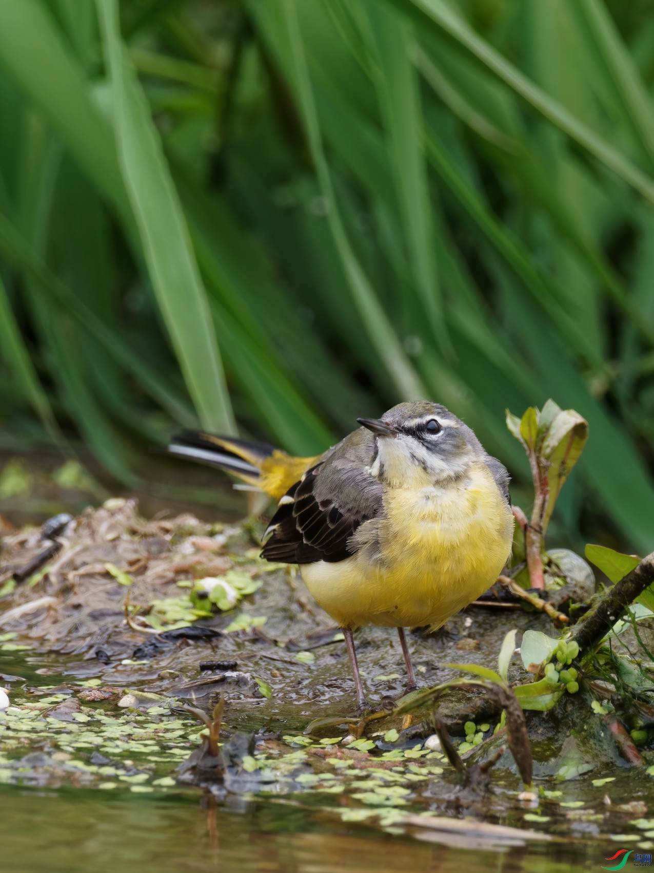 P4010019_DxO-d2.jpg