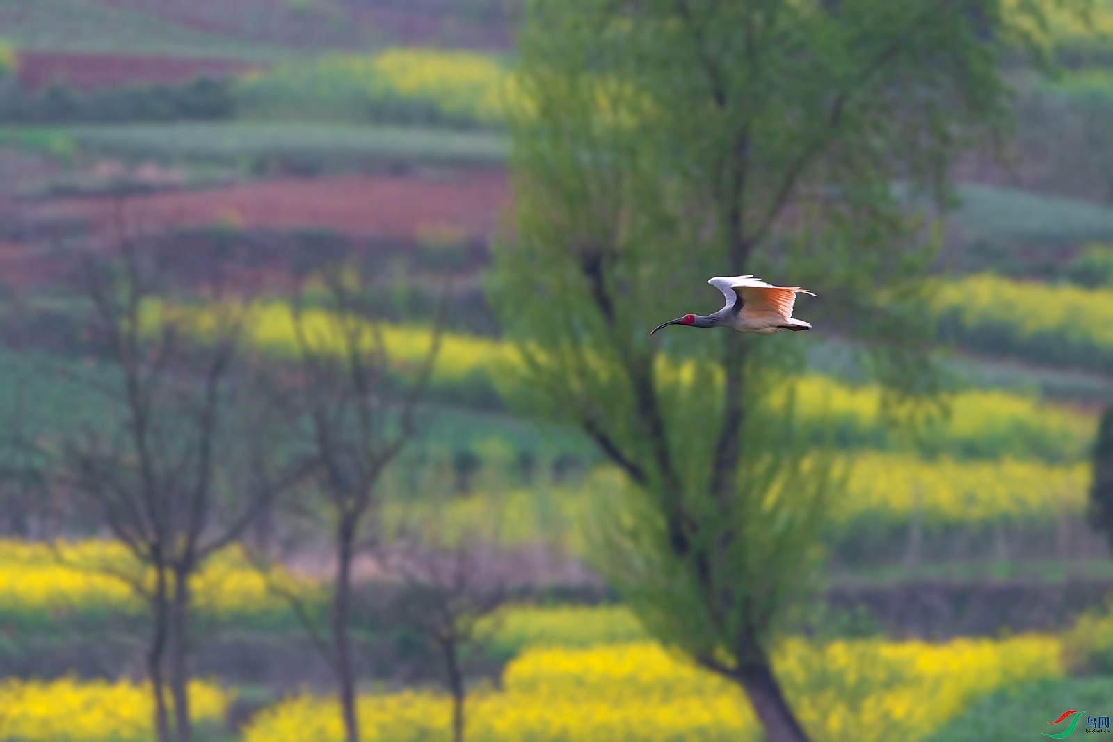 DSC_9698�Ͳ����q.jpg