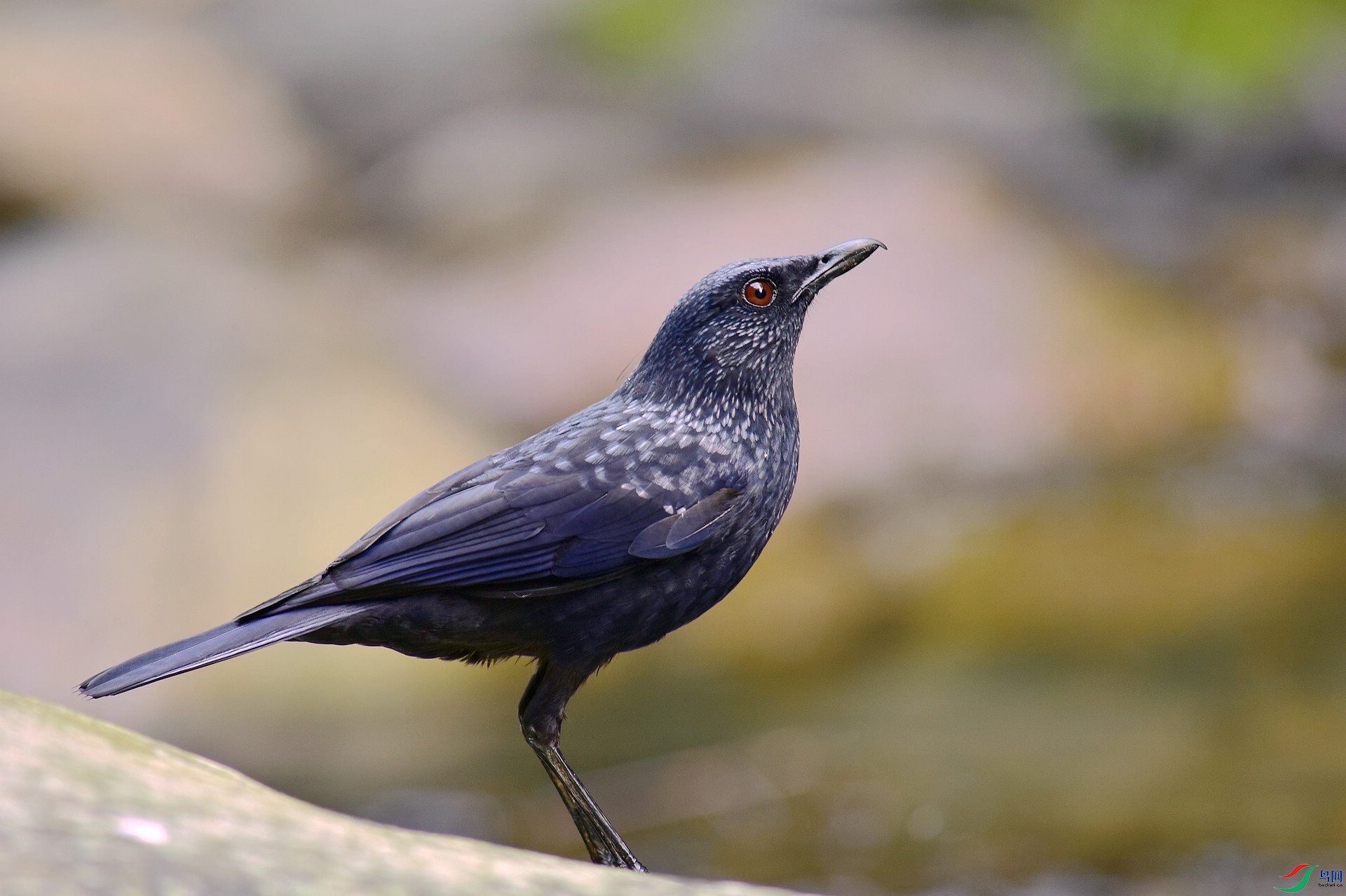 D8I_6404.jpg