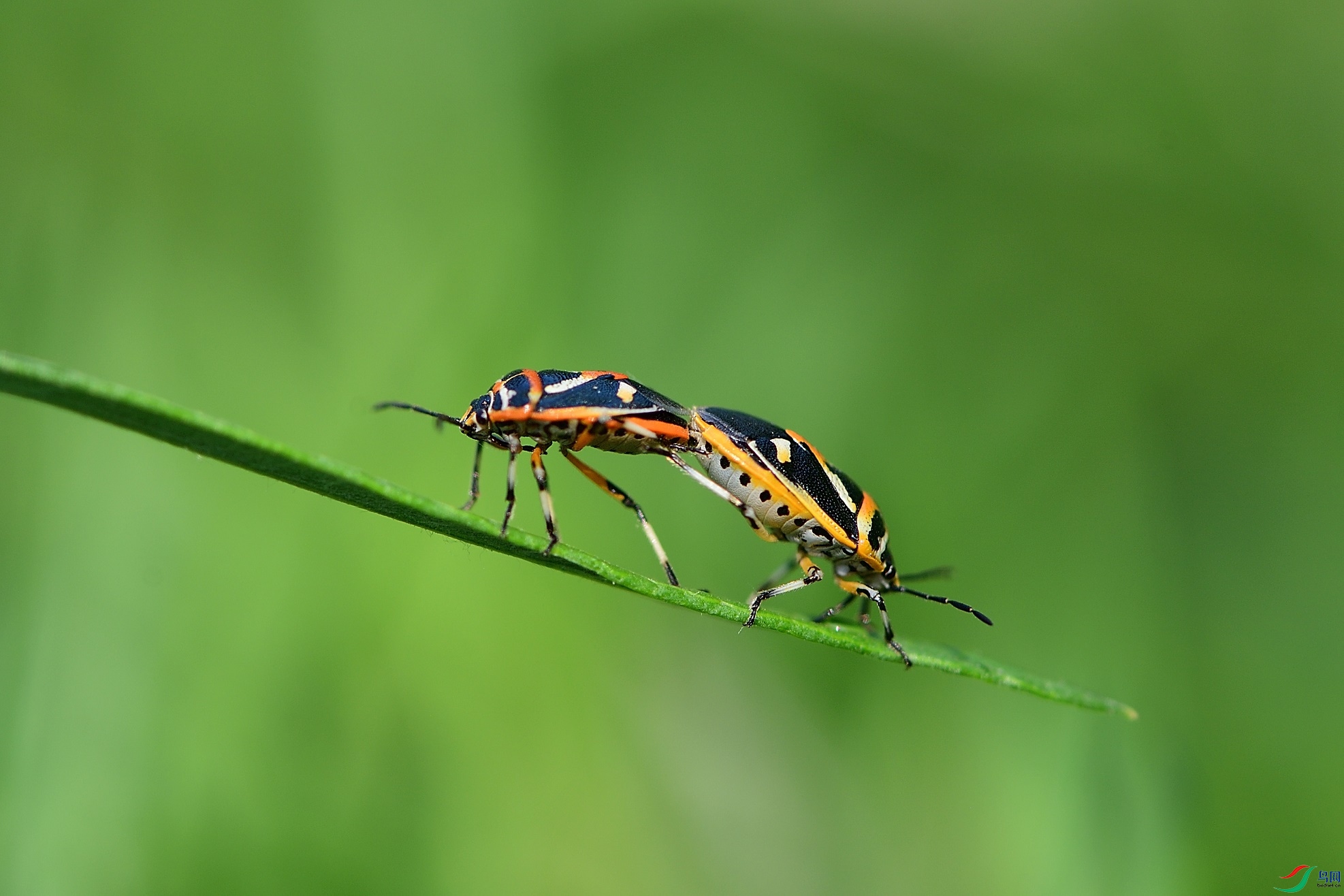 DSC_9881.jpg