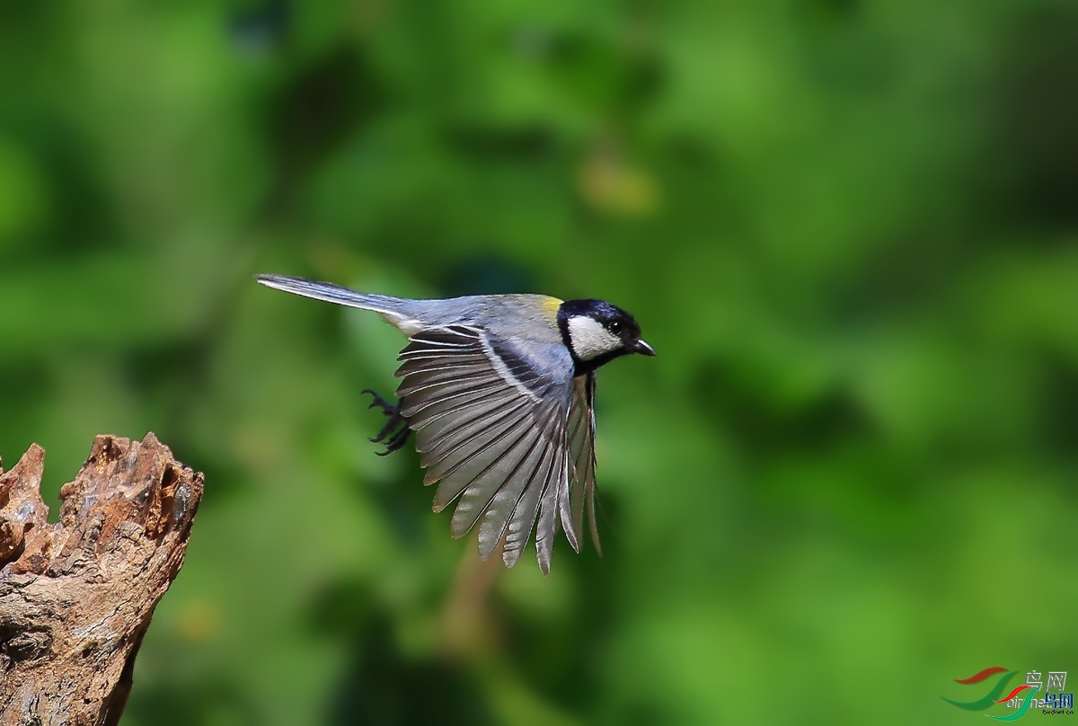 �����������  ��ʦ������ɽ��ʡ������.jpg