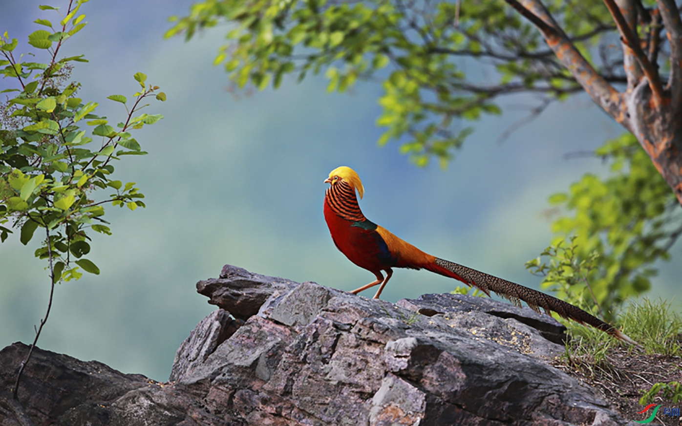 ׿����ʦ�� 3.jpg