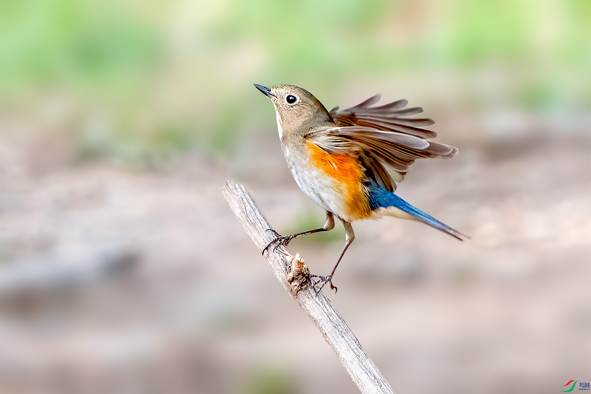_DSC5477-9=.jpg