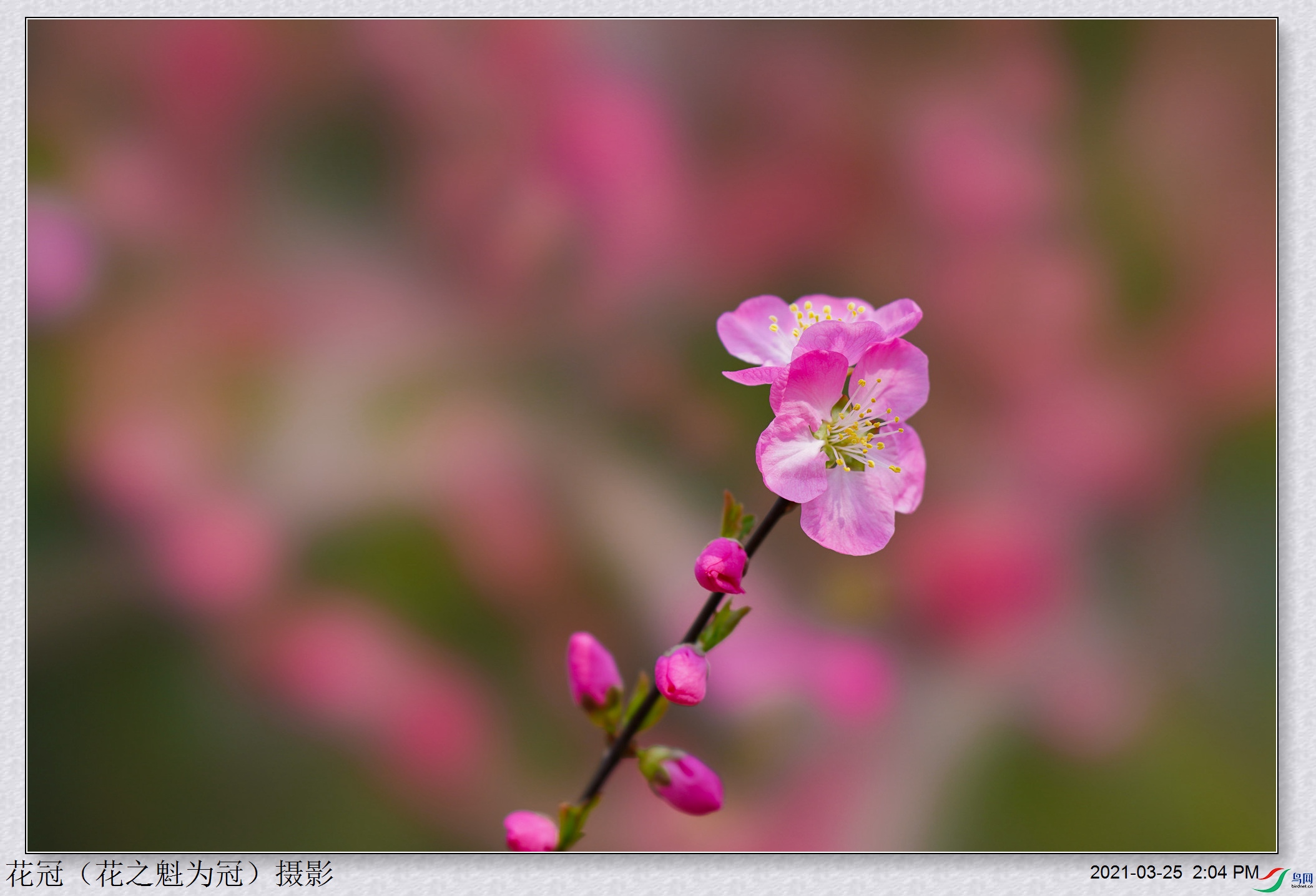 DSC03614B-1_����.jpg