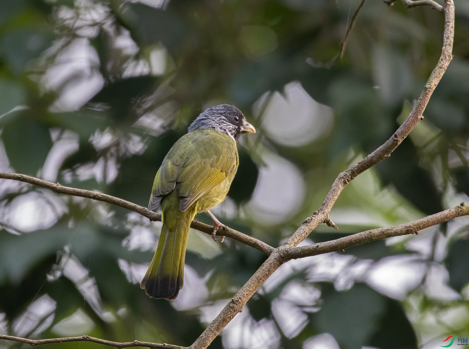DSC_7356.jpg