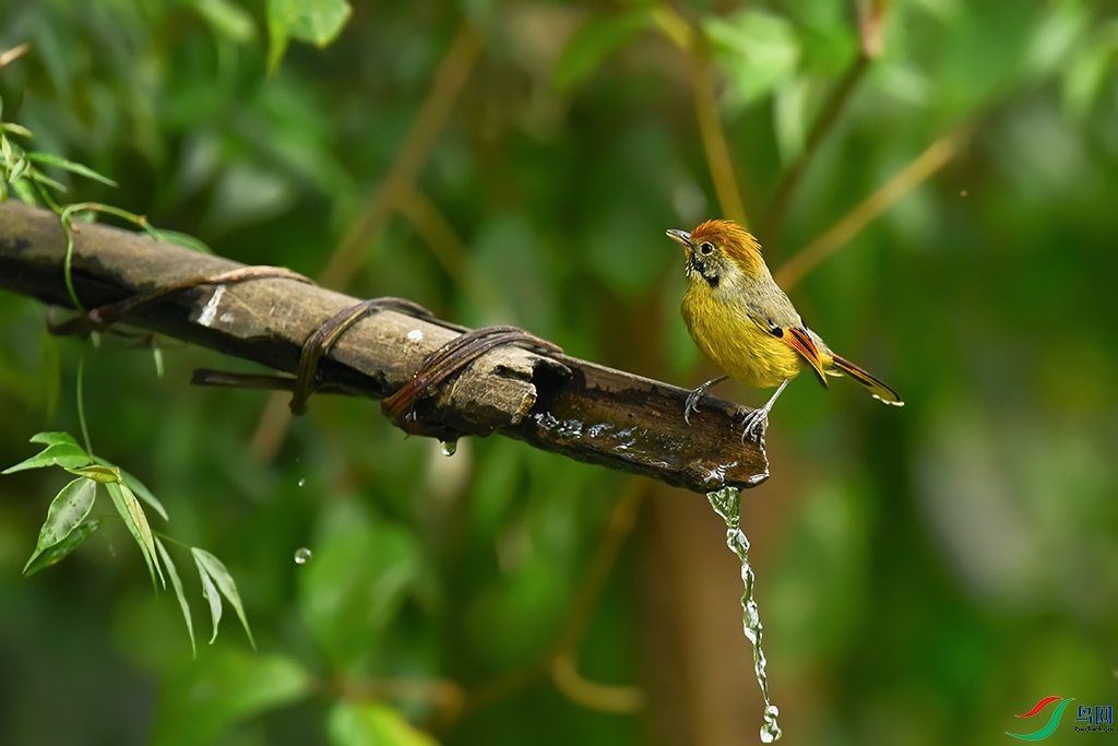 DSC_3402_DxOa.jpg