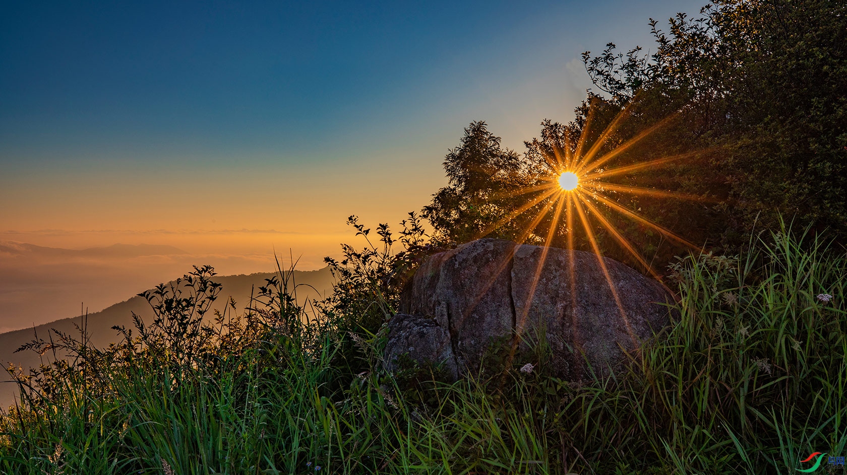 0m0a9256-1.jpg