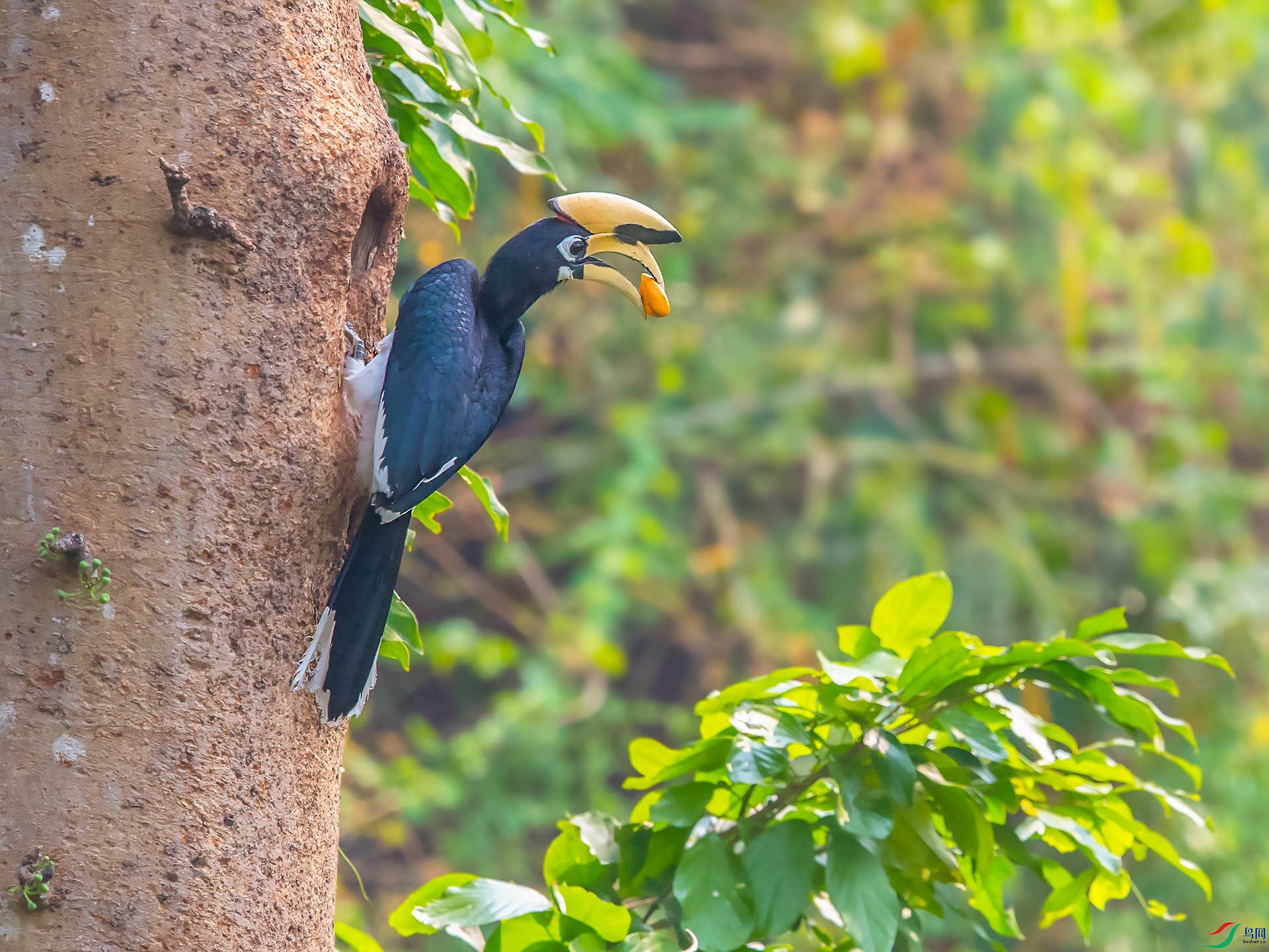 DSC_1849.jpg