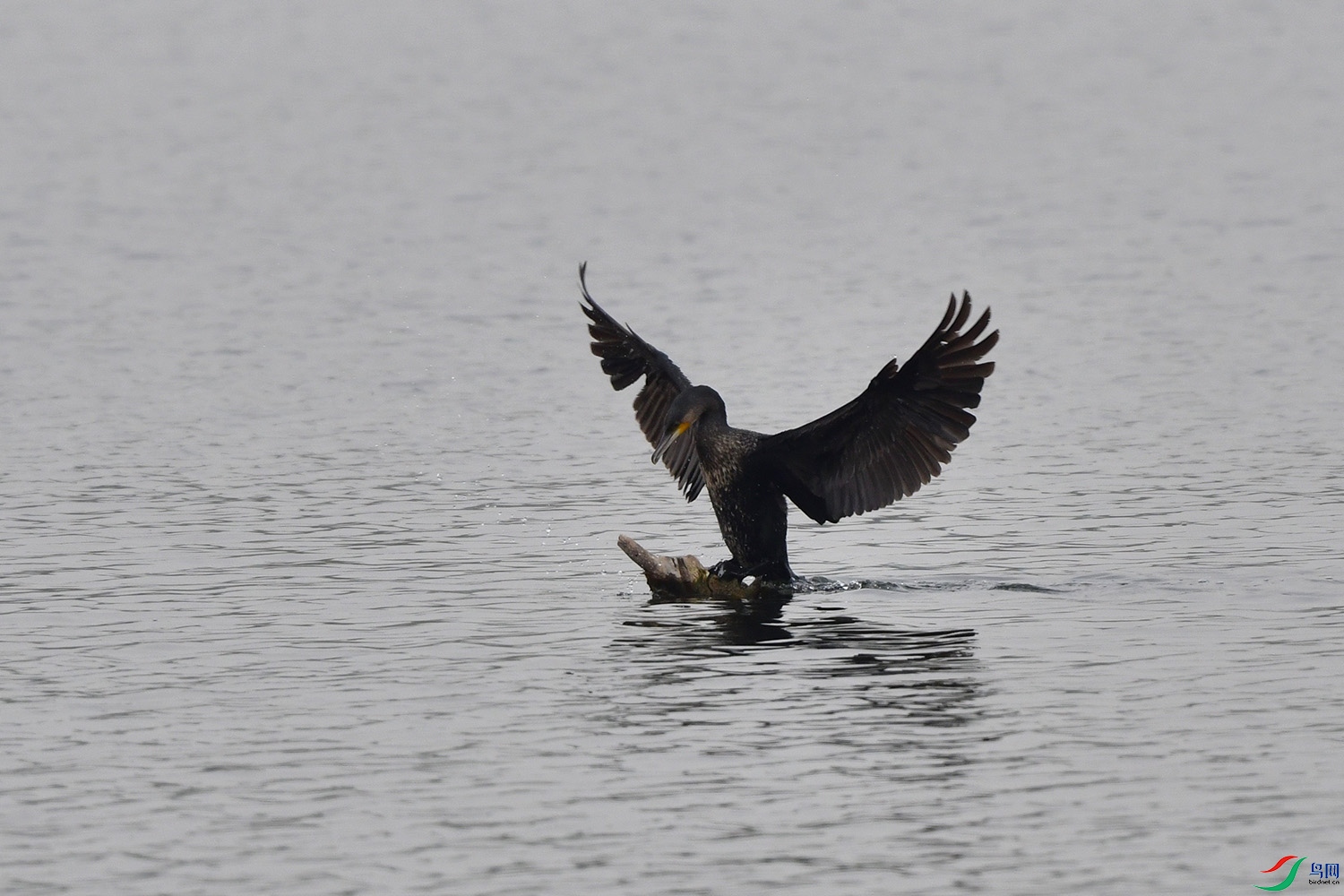 DSC_8828.jpg