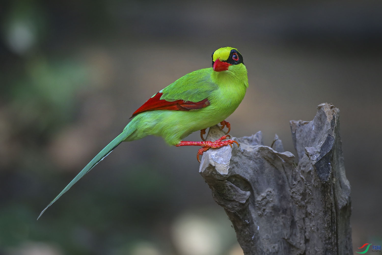 CK6K7755.JPG