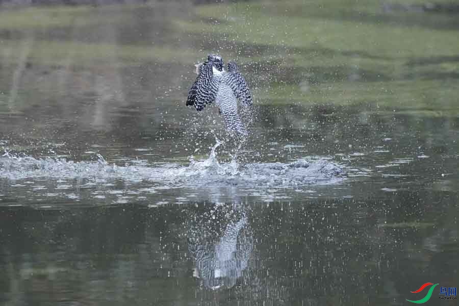 20180224-DSC00976-22 - ���� - ����.JPG