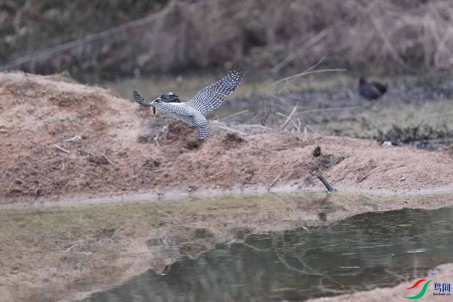 20180224-DSC01014-60 - ����.JPG