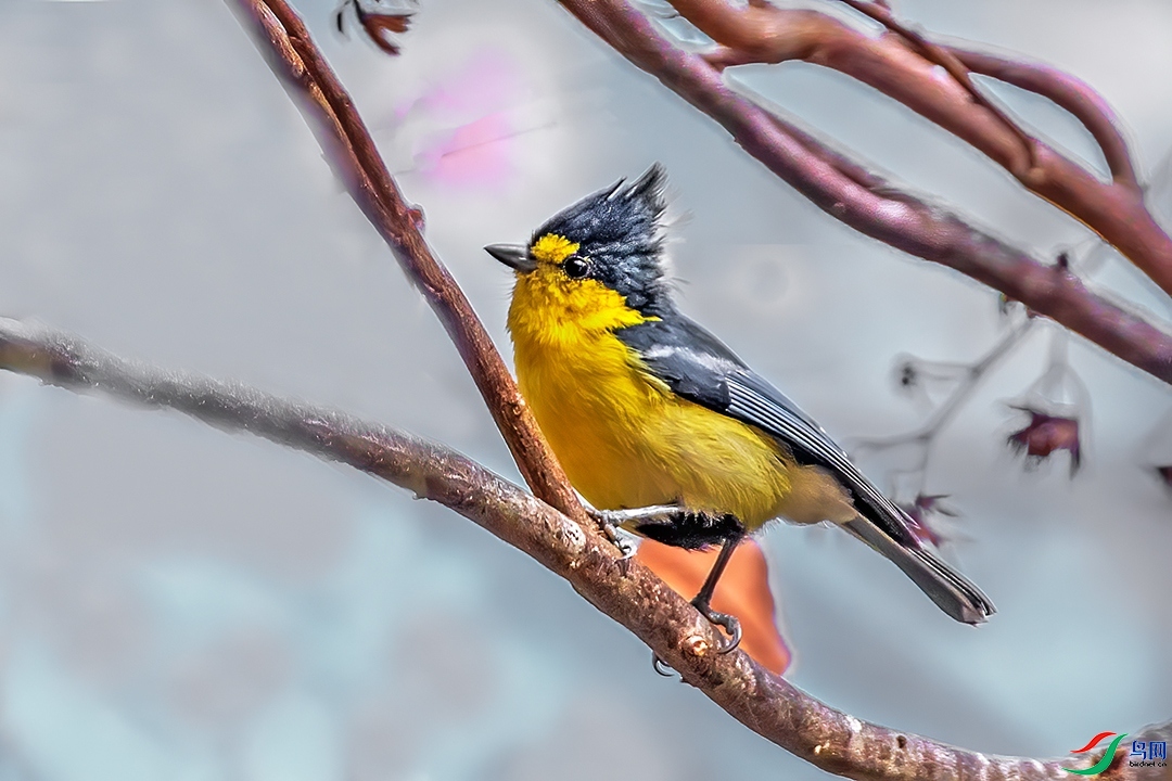 ��������  ��ʦ������̨�����̨����.jpg