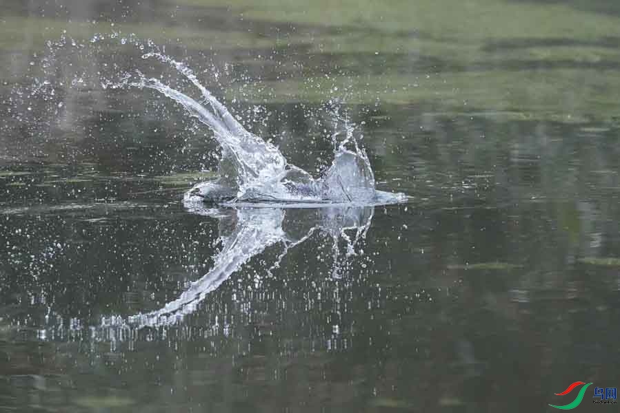 20180224-DSC00968-14 - ����.JPG