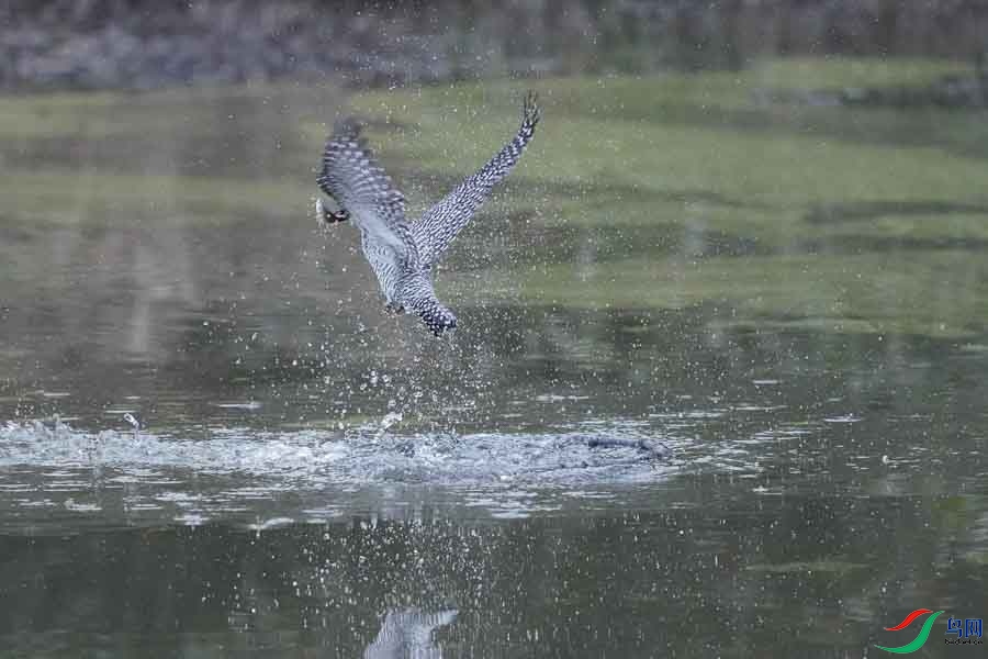 20180224-DSC00977-23 - ���� (2).JPG