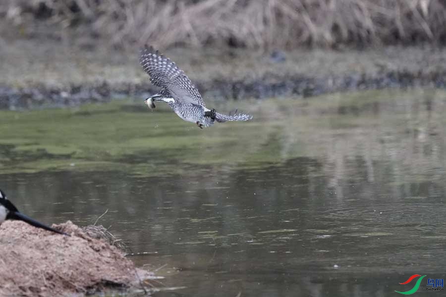 20180224-DSC00998-44 - ���� (2).JPG