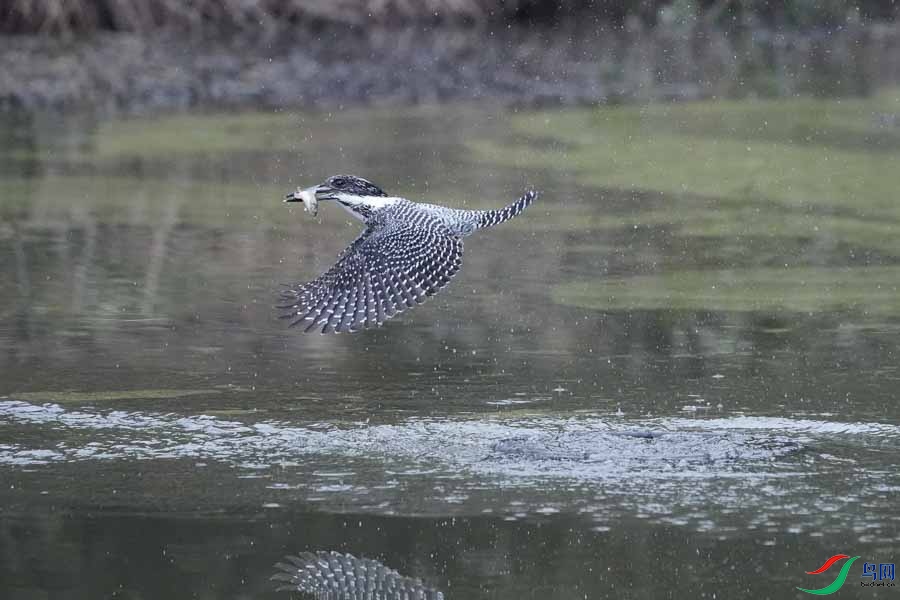 20180224-DSC00984-30 - ���� (2).JPG