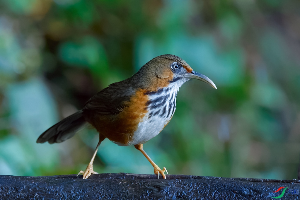 DSC_0923_DxOa.jpg