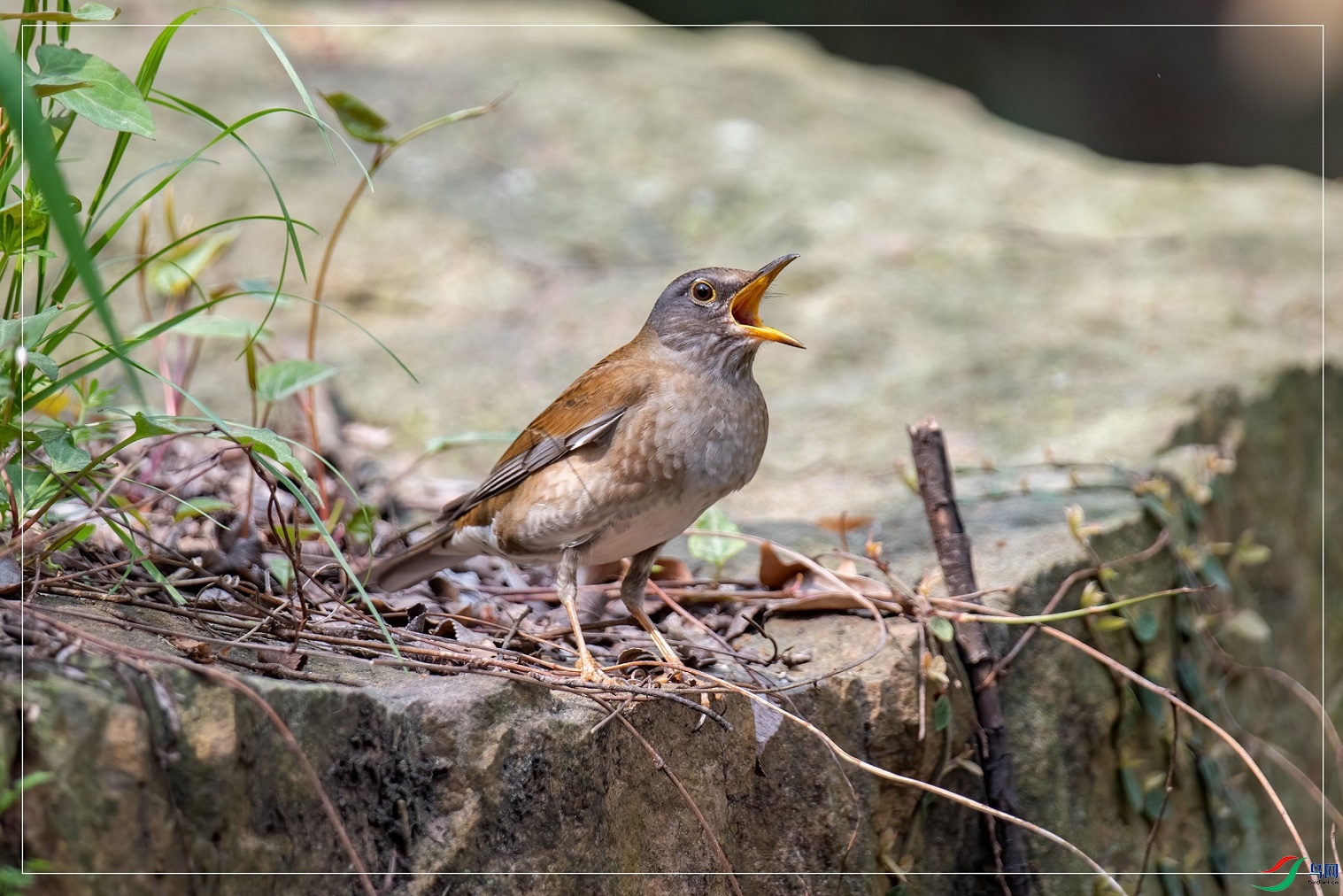 DSC_5021.jpg