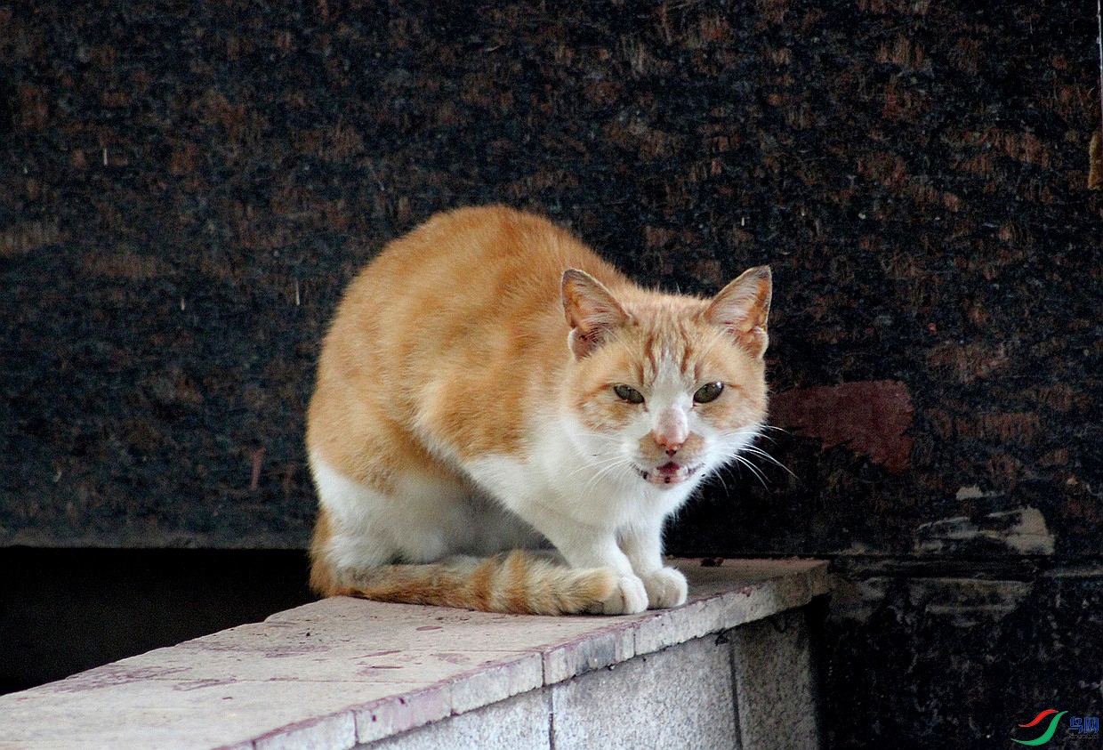 IMG_0013.jpg
