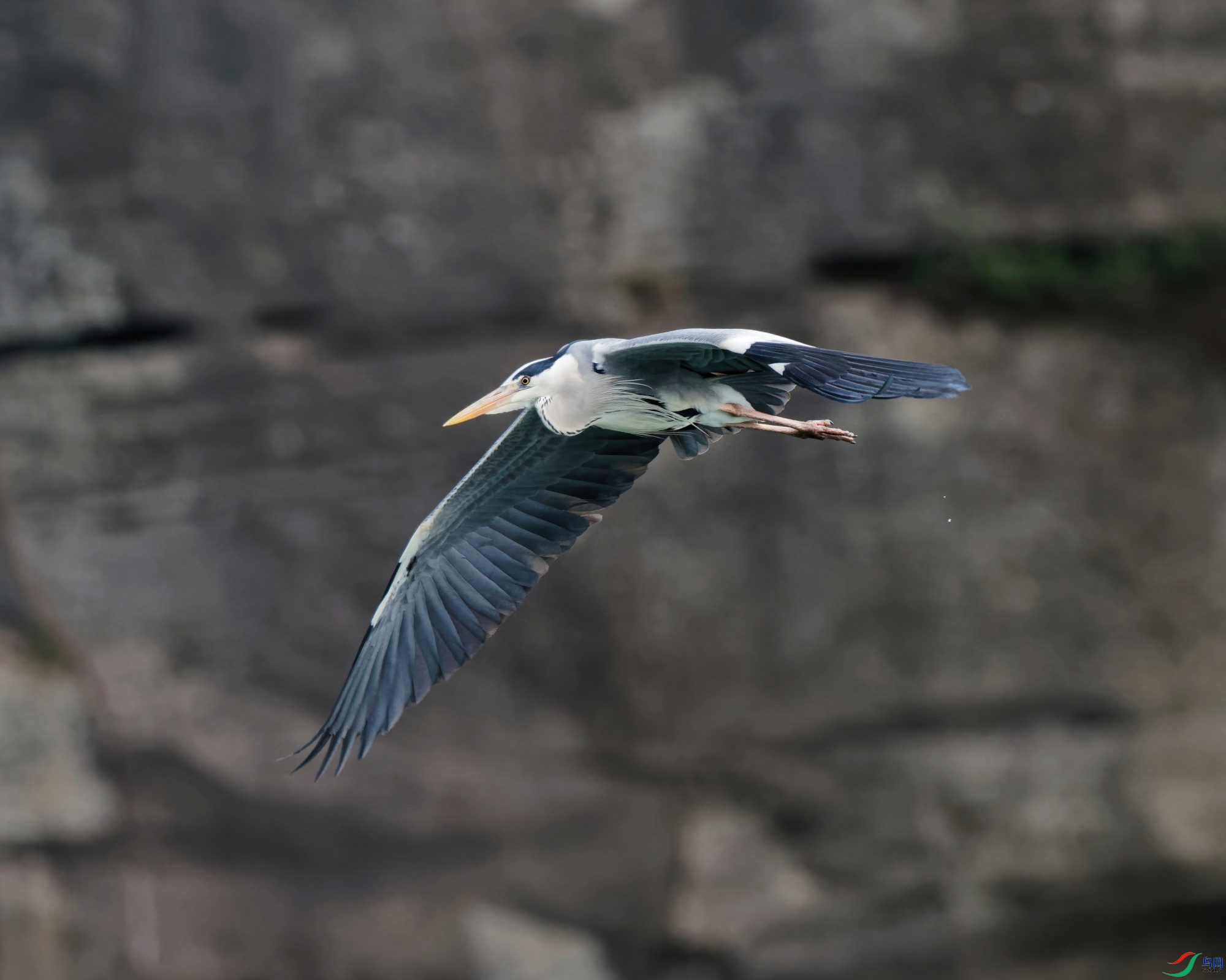 P4030008_DxO-sd2.jpg