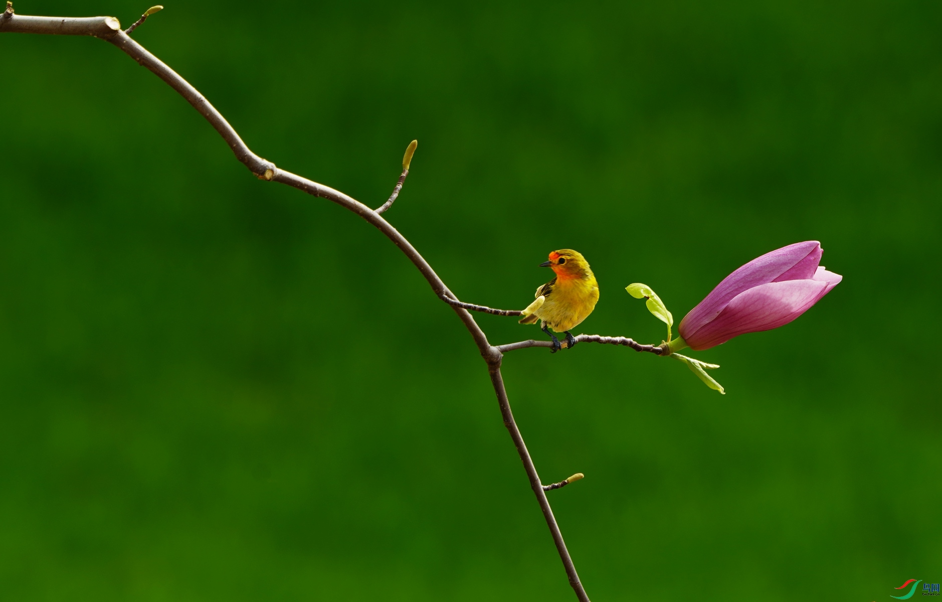 2 DSC09700_����.jpg