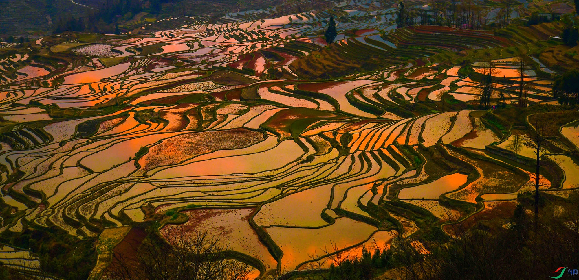 朝霞映红哈尼梯田(祝贺少帅老师荣获首页综合精华)