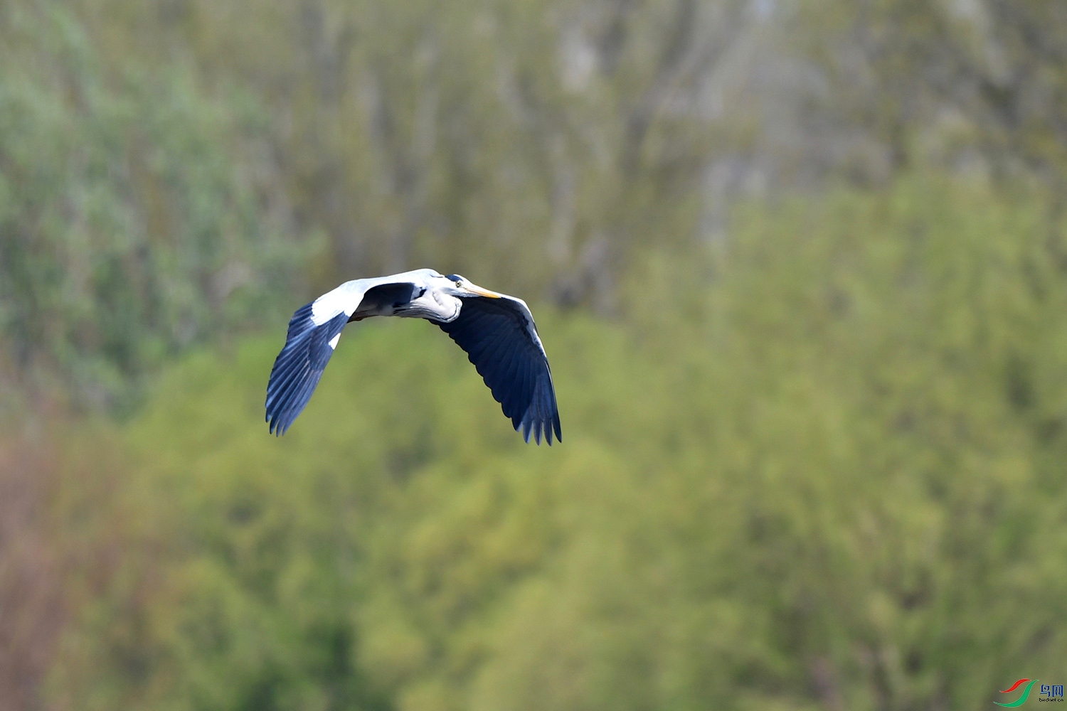 DSC_0813.jpg