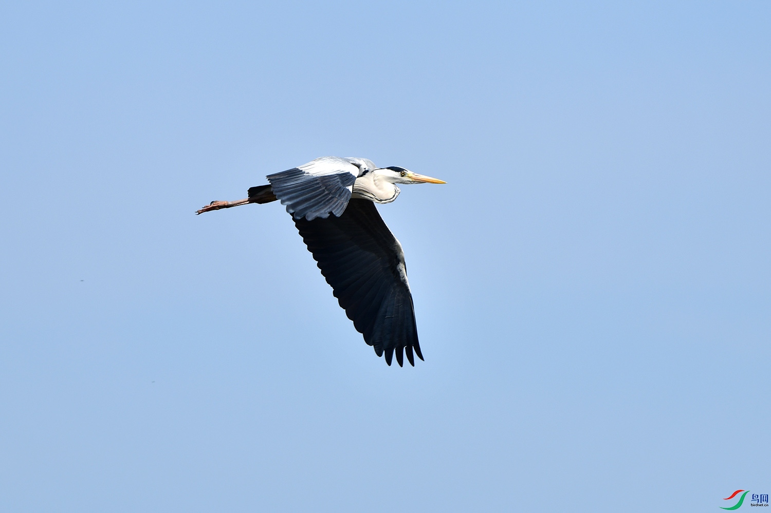 DSC_0815.jpg