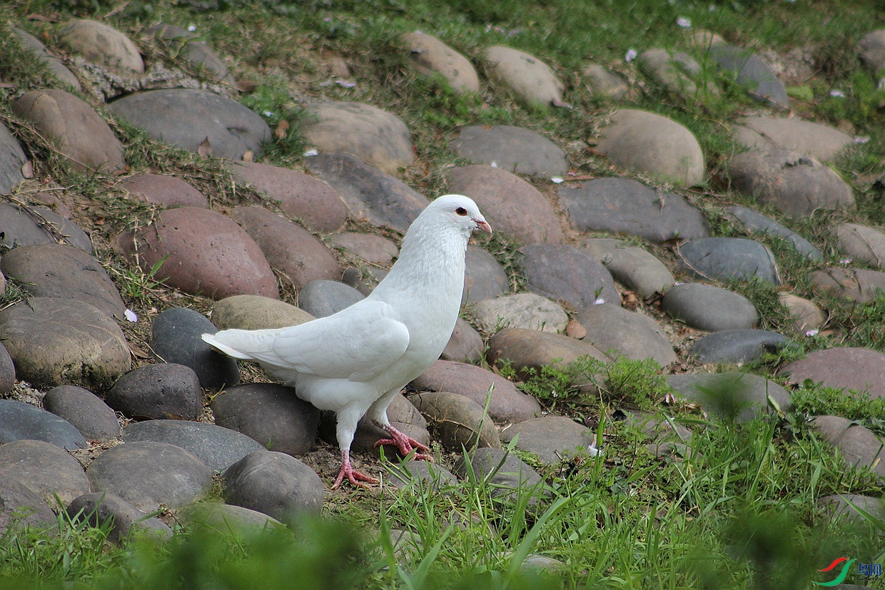 IMG_0098.jpg