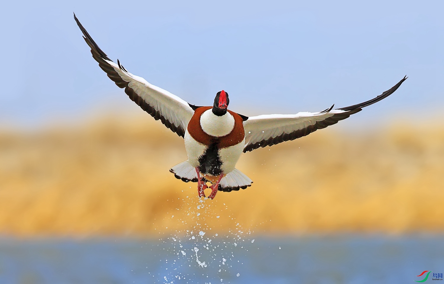 ����̱���Ѽ07_����.jpg