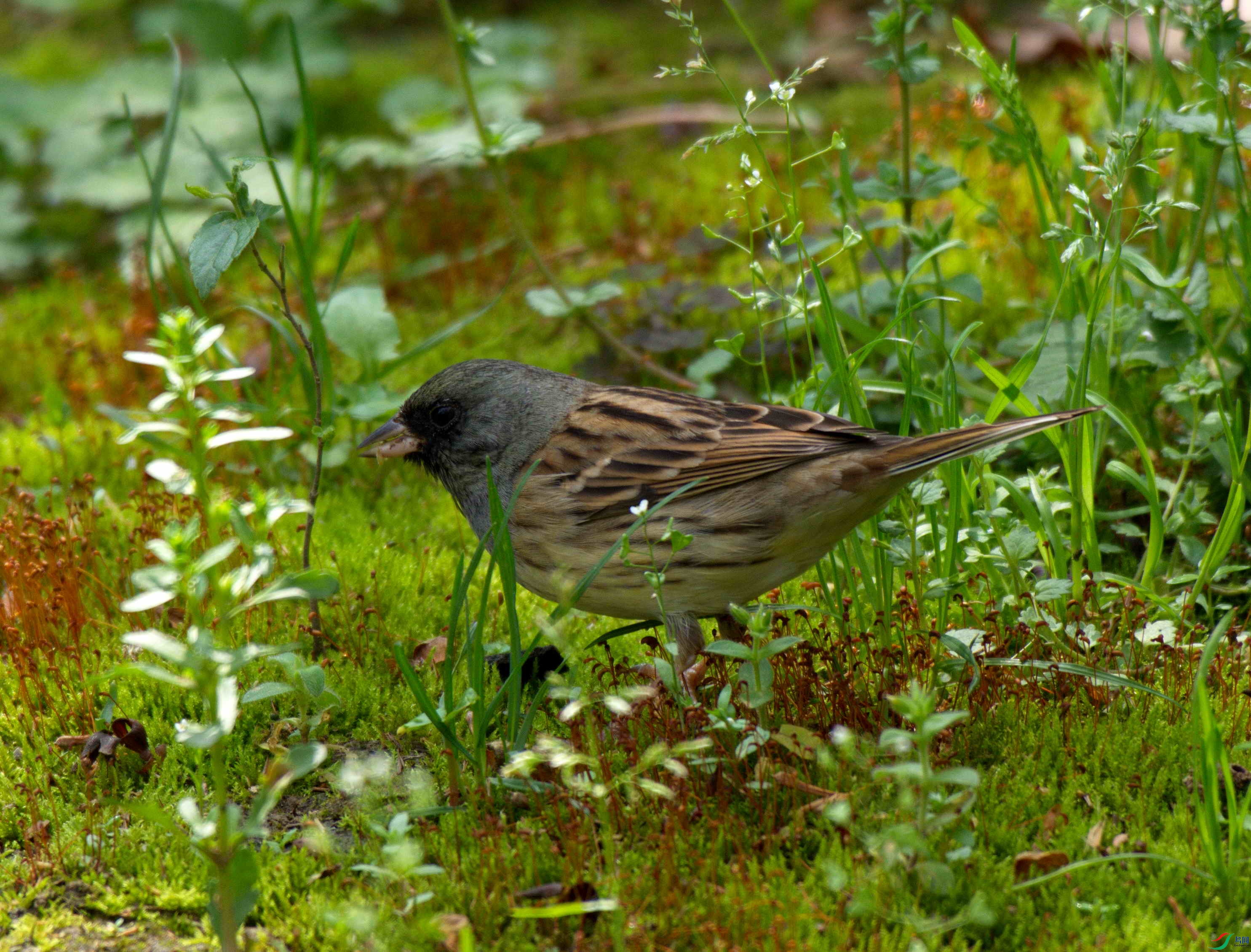 DSC_8838.jpg