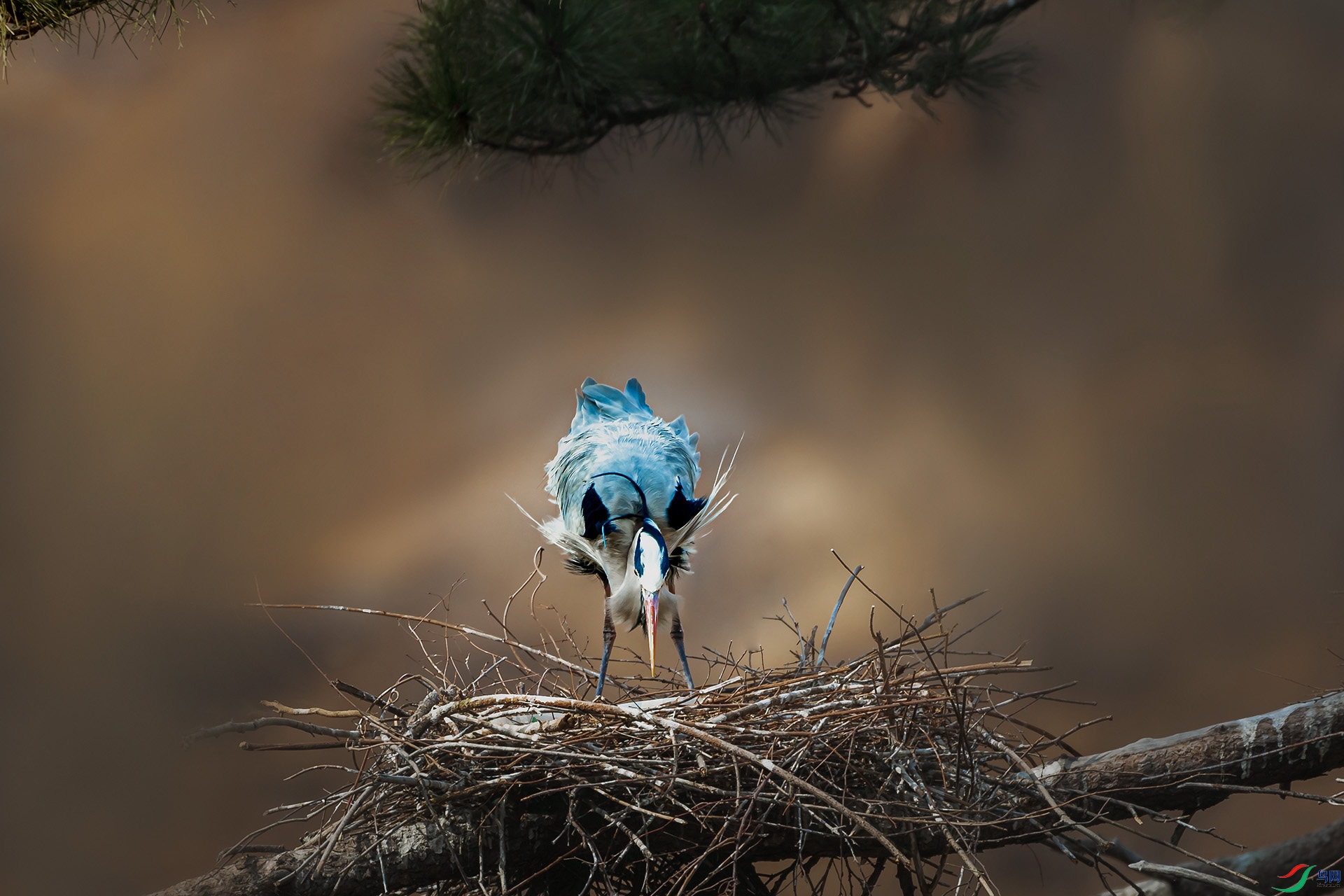 DSC_8533s.jpg