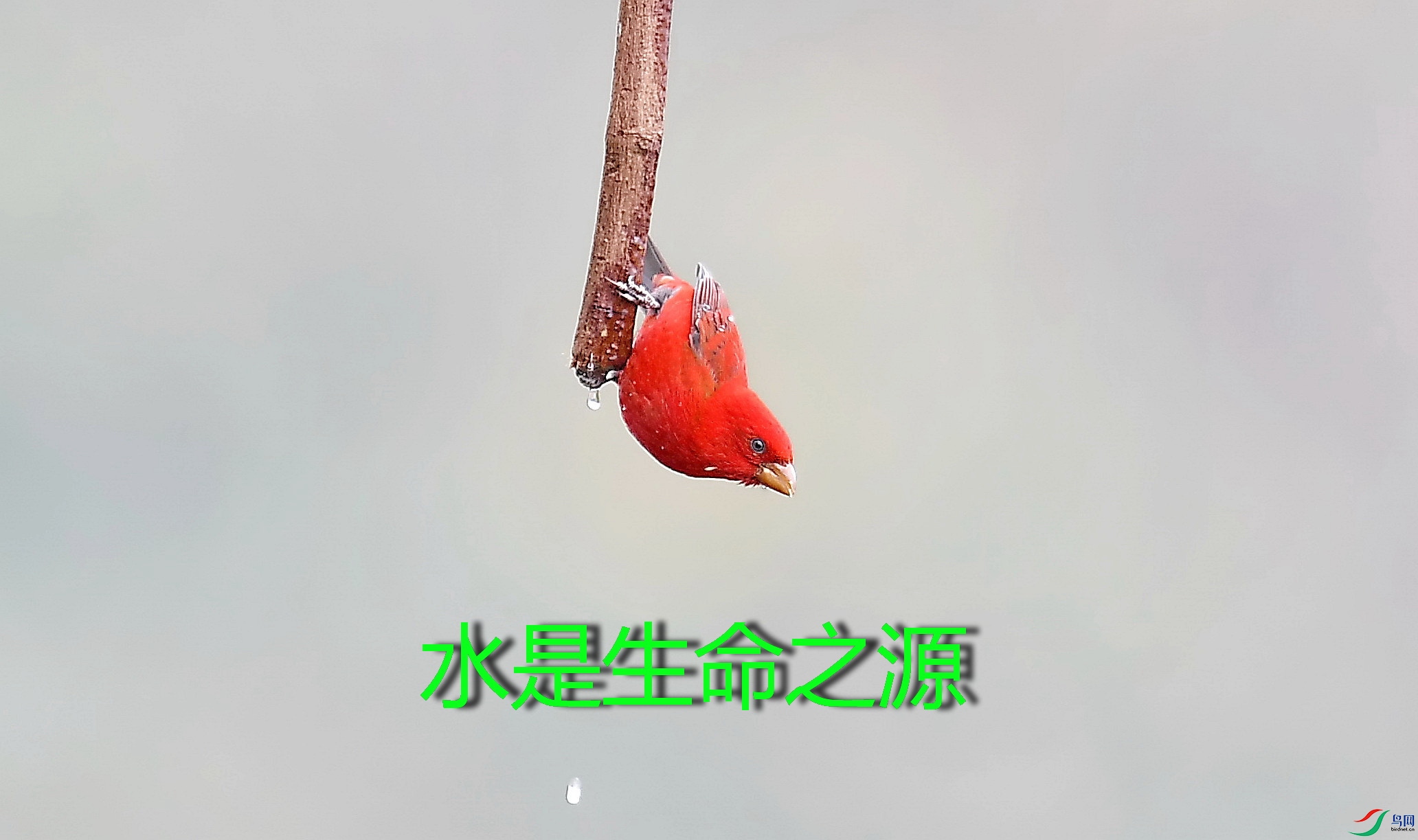 DSC_7643_����.jpg