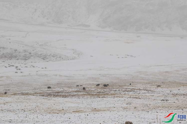 0S2A0953.JPG