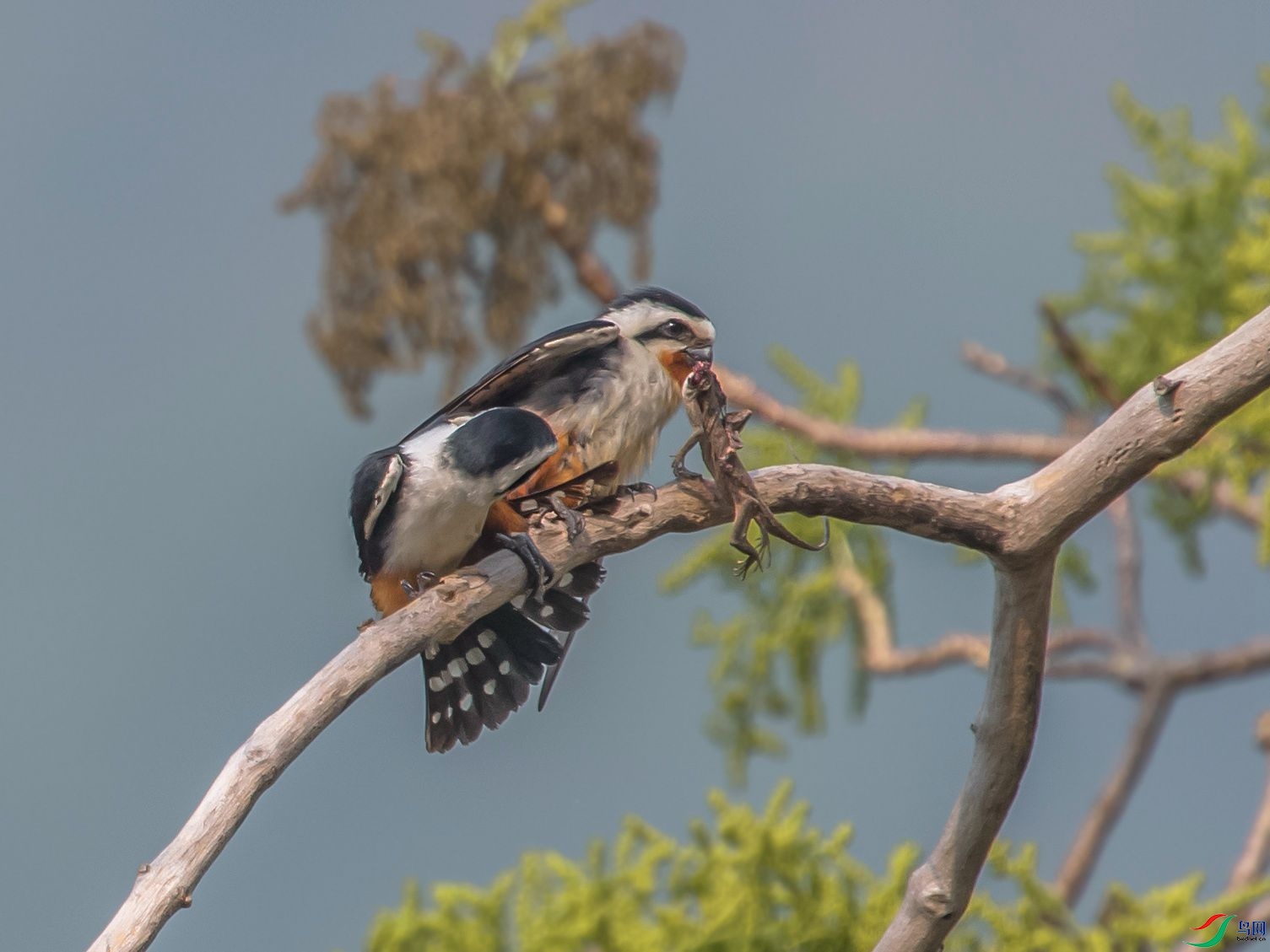 DSC_5843.jpg