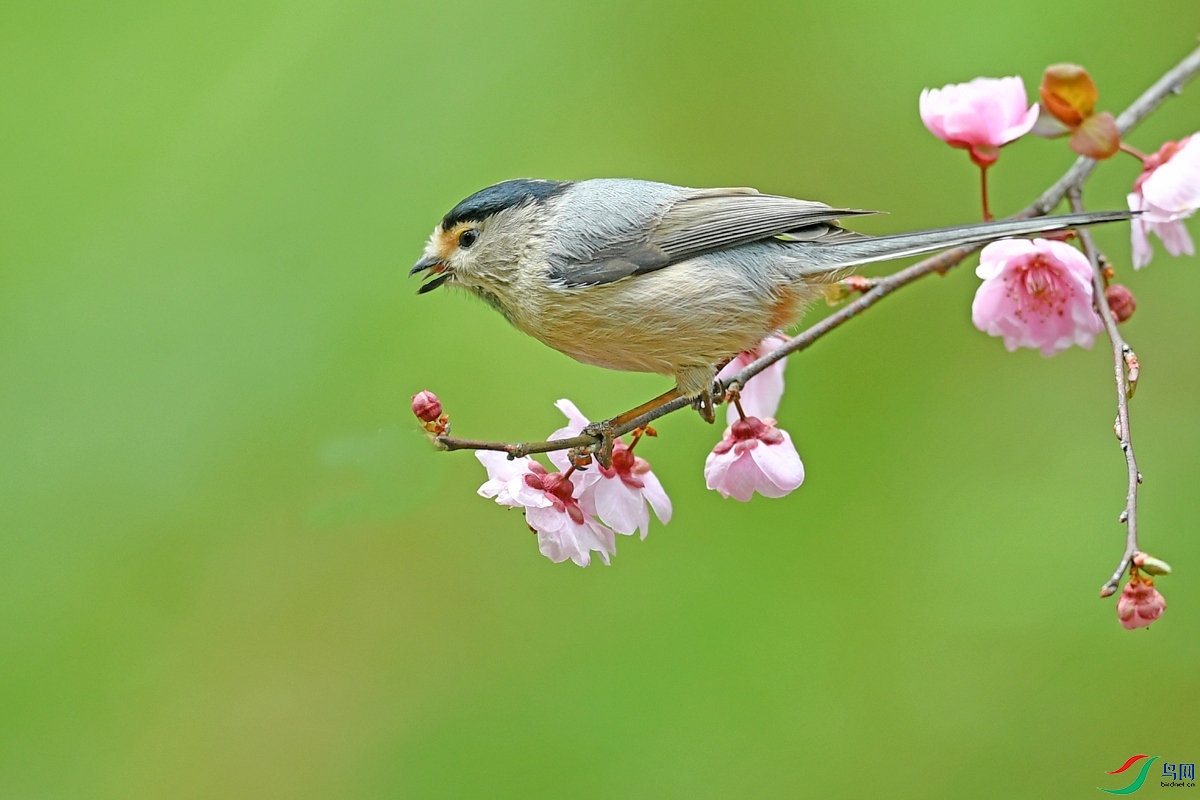 DSC_9981.jpg