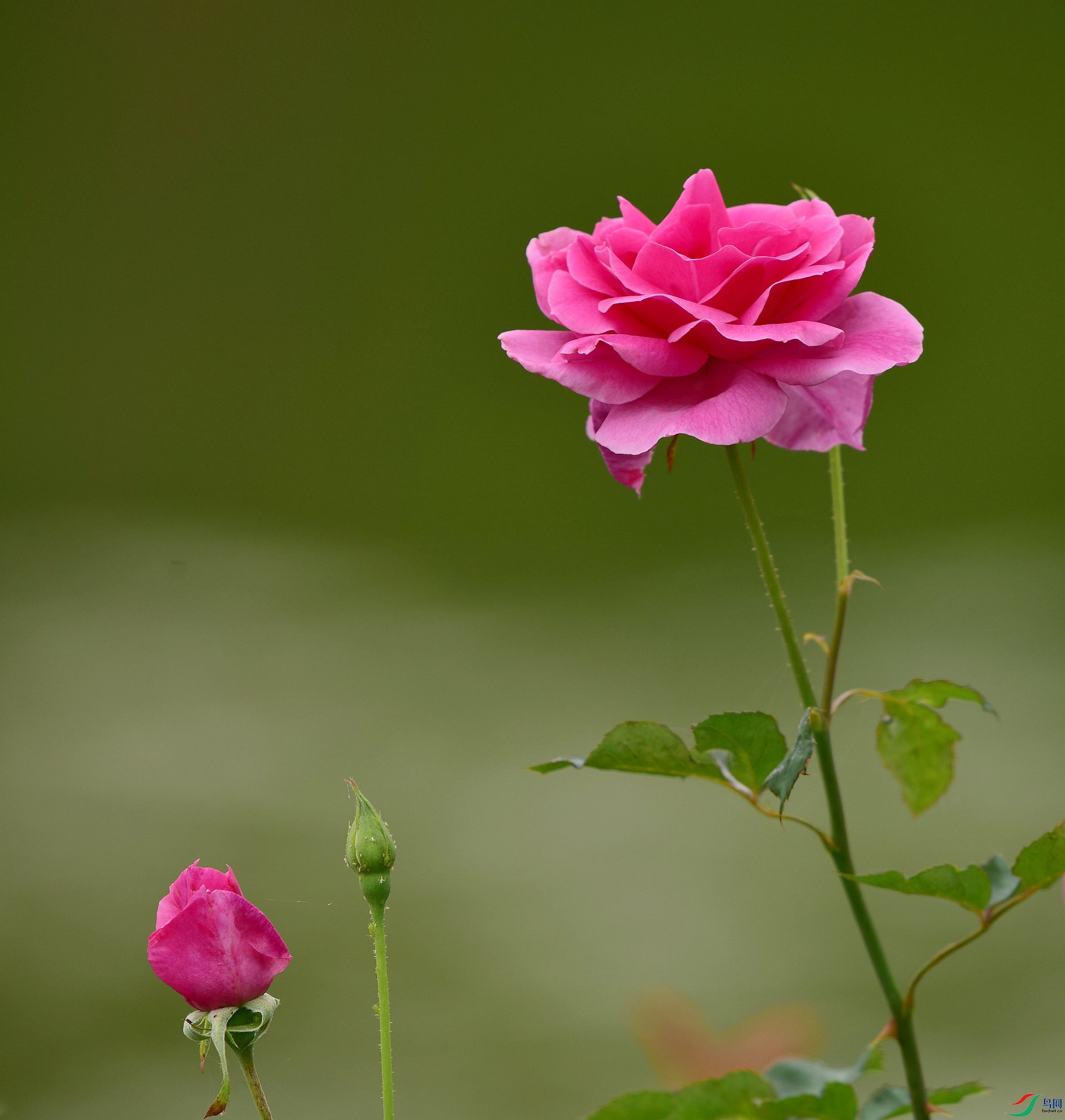 D8I_7650.jpg