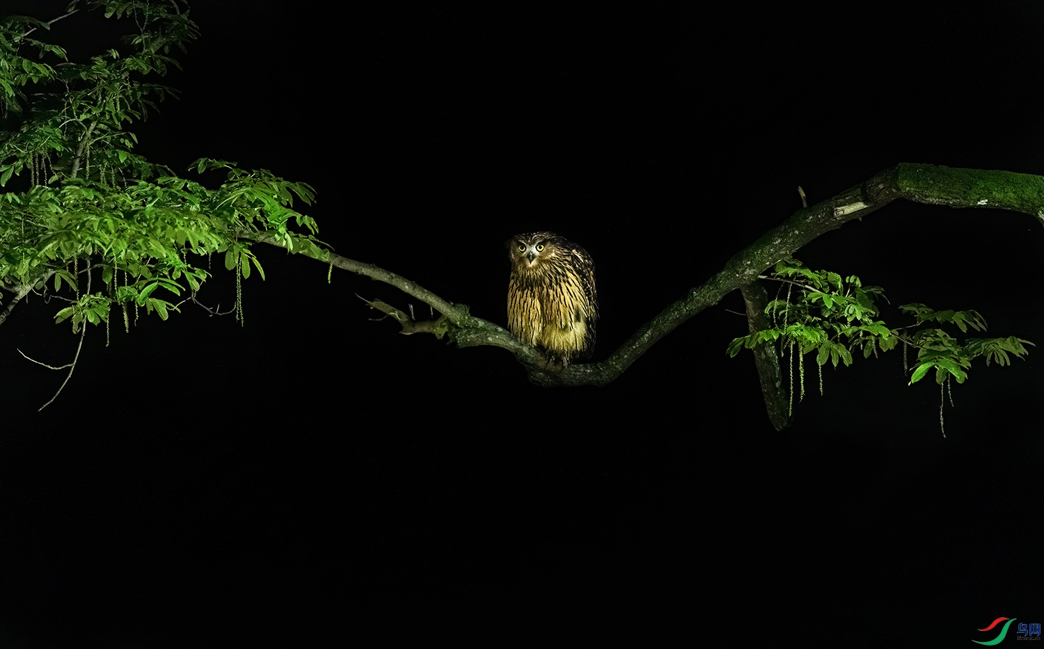 _DSC7457.2.jpg