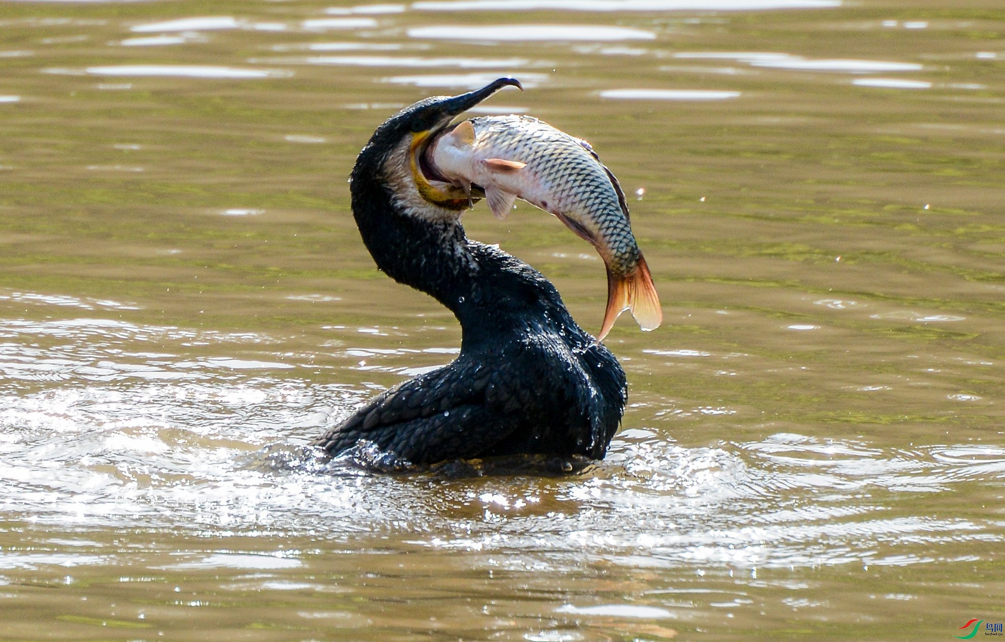 DSC_7826.jpg