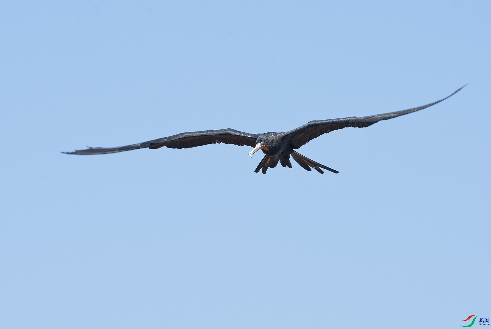 ��DSC_5375.jpg