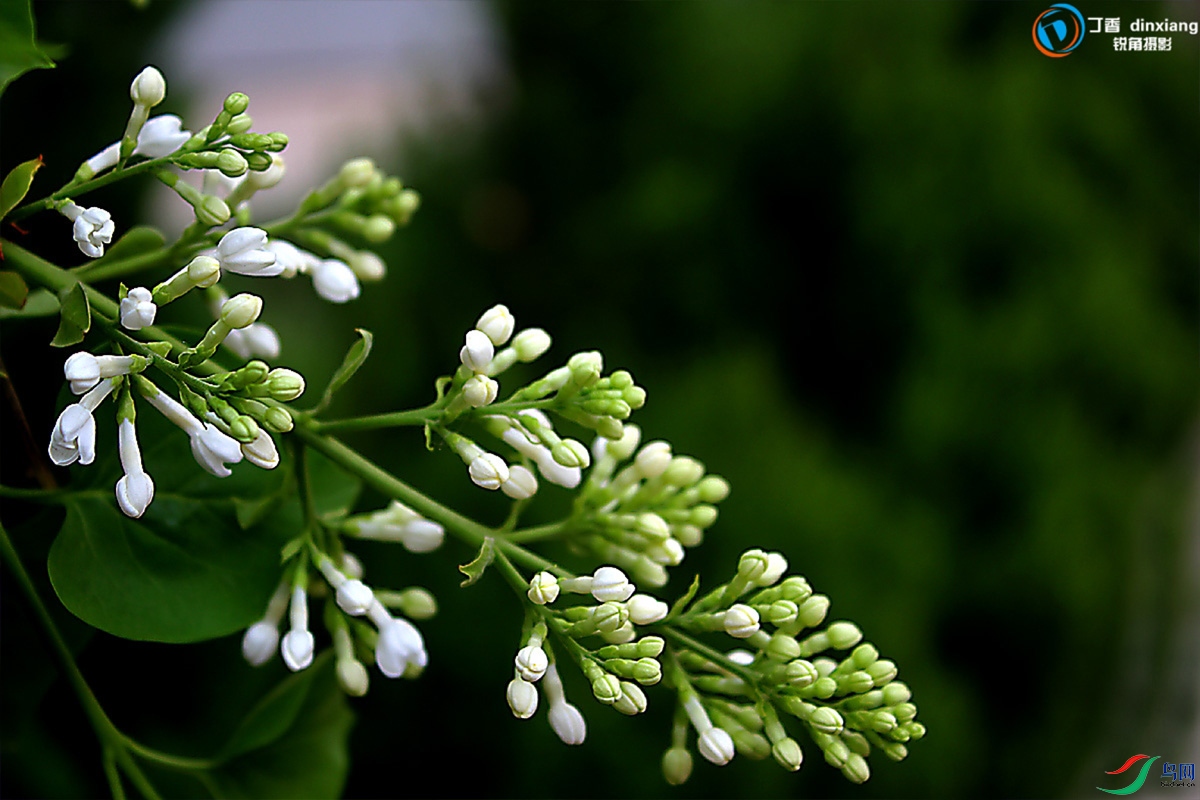 IMG_1728.jpg