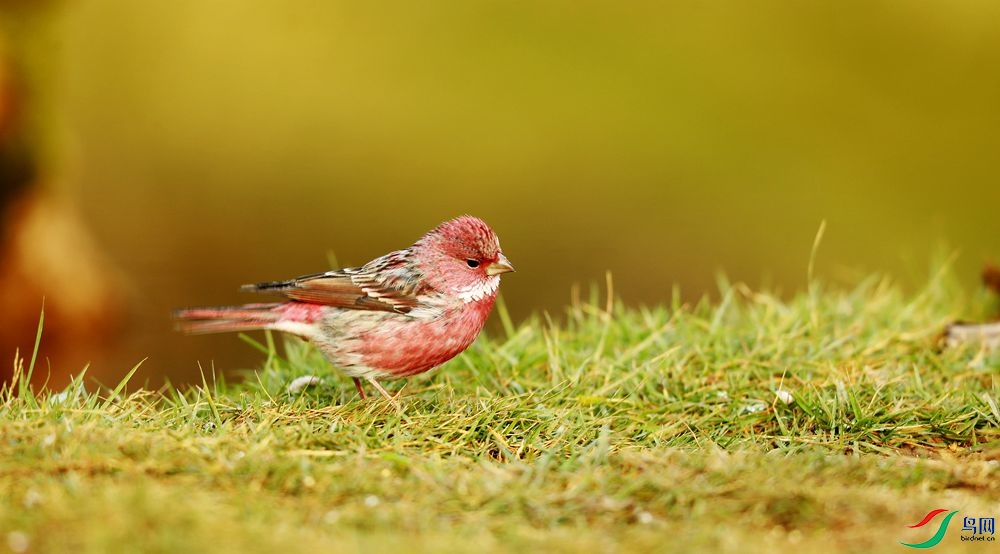 ѰѰ����.jpg