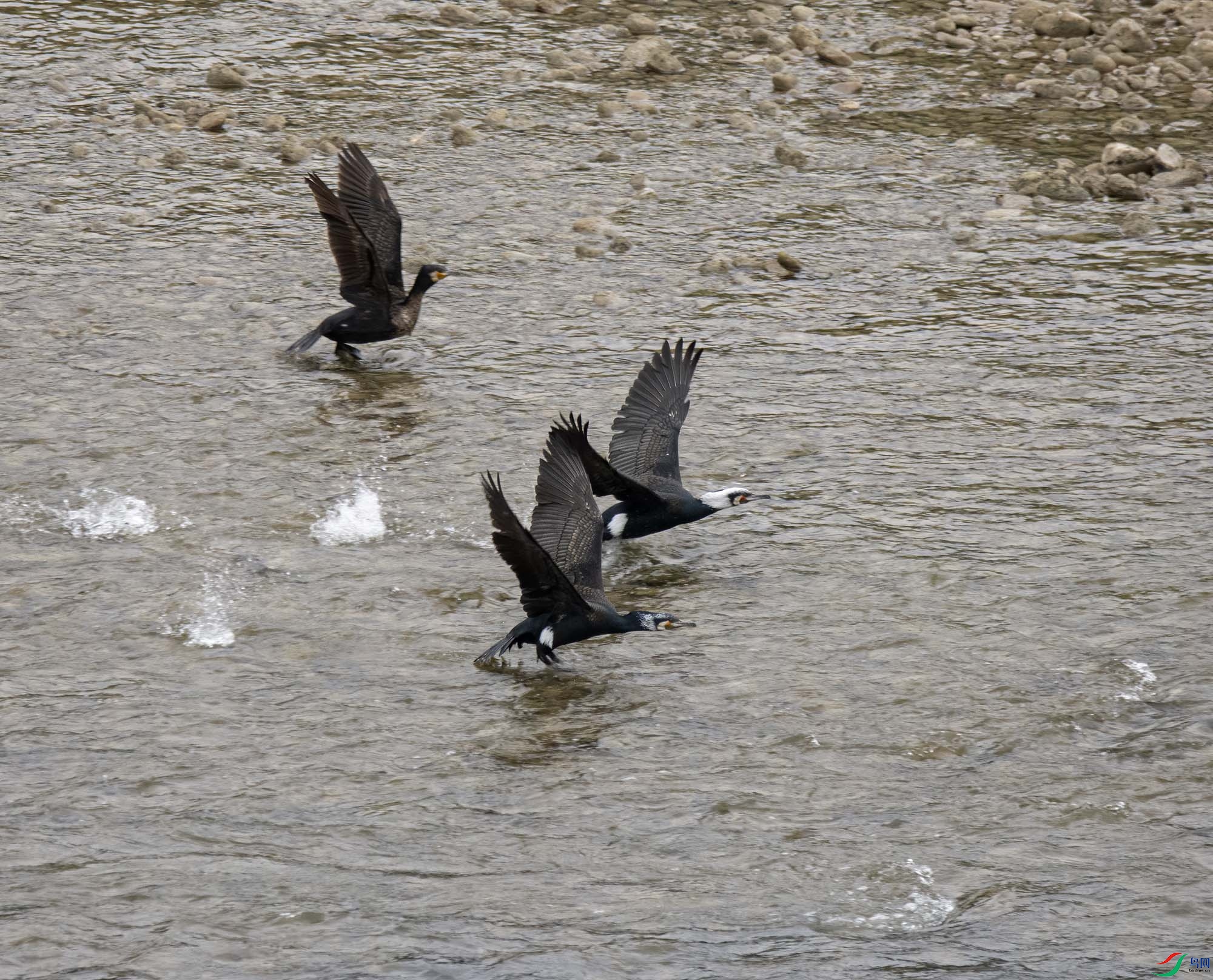DSC_7544.jpg