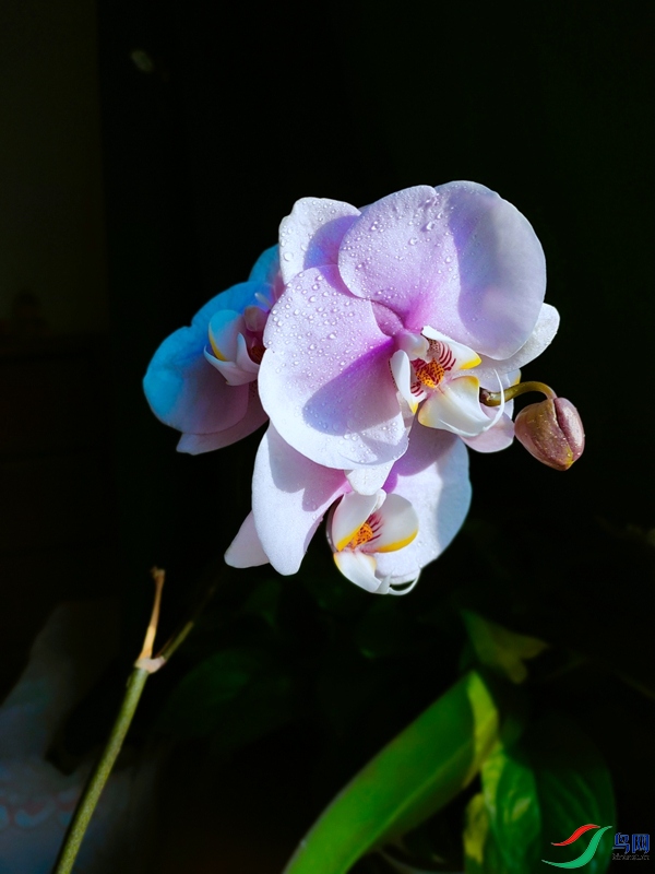 IMG20210404172526_����.jpg88.jpg